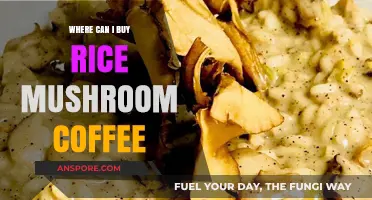 Discover the Best Places to Buy Rice Mushroom Coffee Online