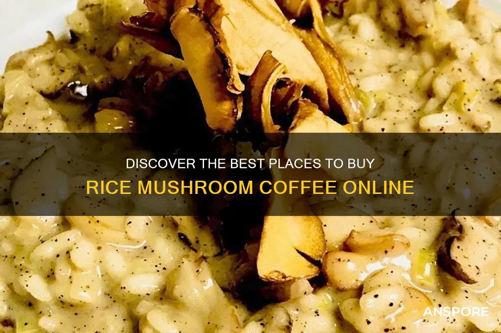 where can i buy rice mushroom coffee