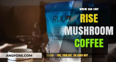 Discover the Best Places to Buy Rise Mushroom Coffee Online