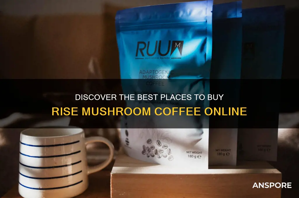 where can i buy rise mushroom coffee