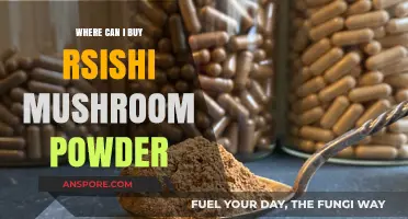 Discover Top Retailers to Buy Premium Reishi Mushroom Powder Online