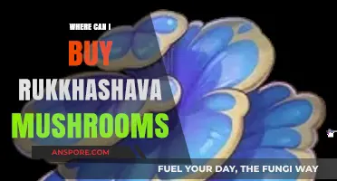 Discover Rukkhashava Mushrooms: Top Sources to Buy Them Online & Locally