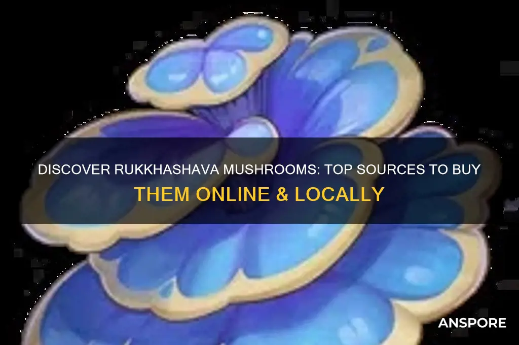 where can i buy rukkhashava mushrooms