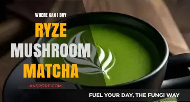 Discover Top Retailers to Buy Ryze Mushroom Matcha Online & In-Store