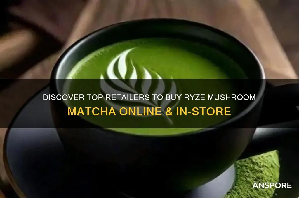 where can i buy ryze mushroom matcha