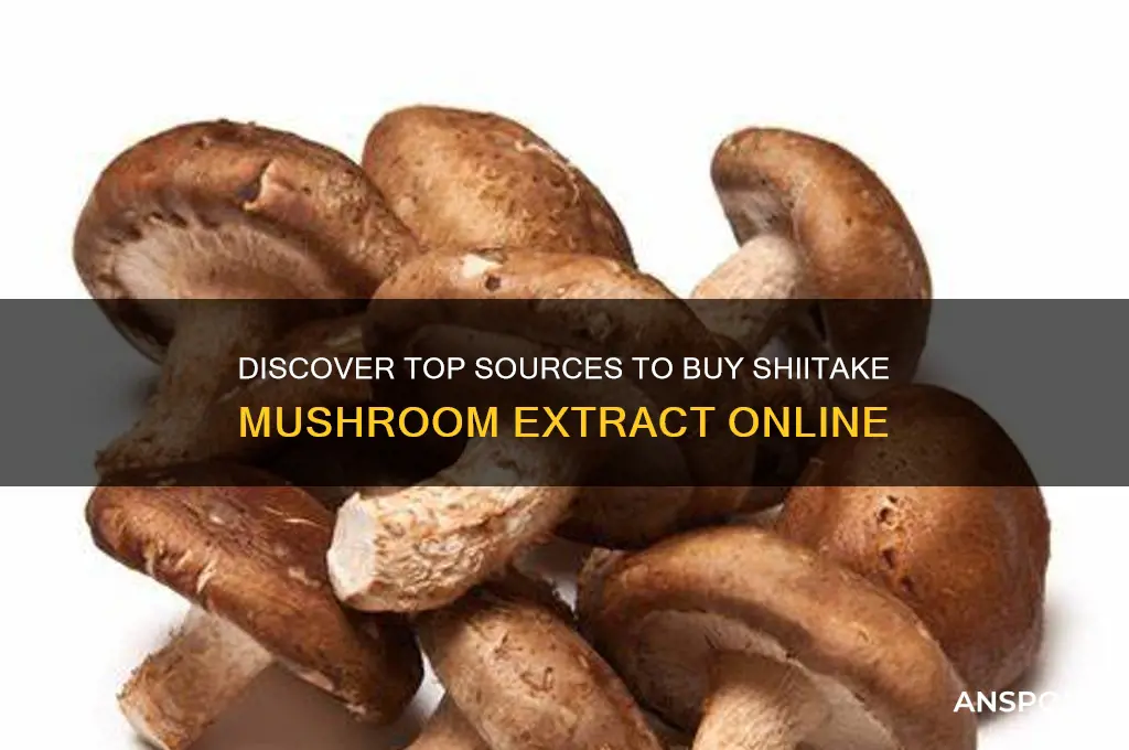where can i buy shiitake mushroom extract