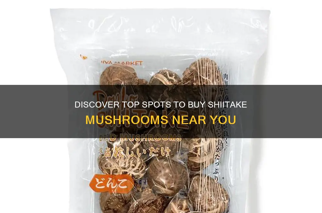 where can i buy shitake mushrooms
