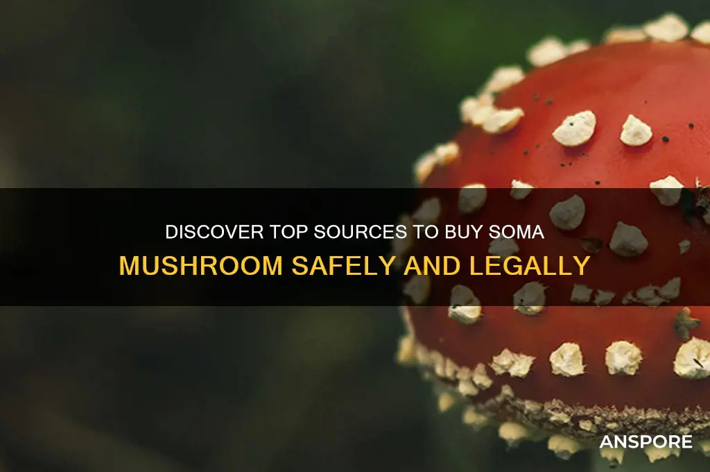 where can i buy soma mushroom