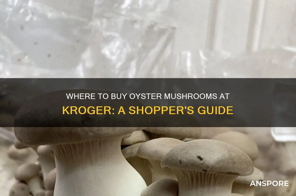 where can i buy store oyster mushrooms kroger