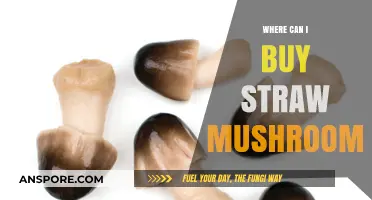 Where to Buy Straw Mushrooms: A Comprehensive Shopping Guide