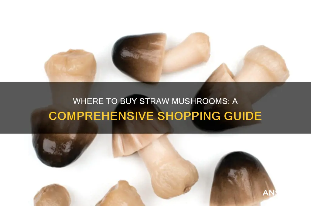 where can i buy straw mushrooms