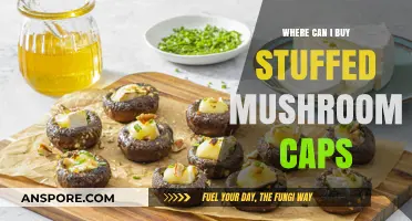 Discover the Best Places to Buy Stuffed Mushroom Caps Online & Locally