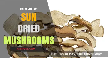 Discover the Best Places to Buy Sun-Dried Mushrooms Online and Locally