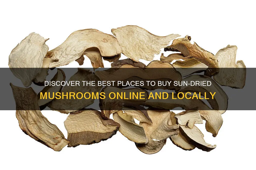 where can i buy sun dried mushrooms