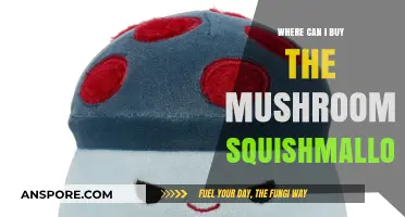 Where to Find and Buy the Adorable Mushroom Squishmallow