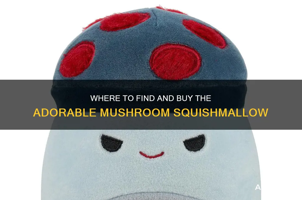 where can i buy the mushroom squishmallow