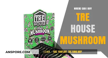 Discover Top Retailers to Buy Tre House Mushrooms Easily