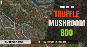 Discover Top Locations to Buy Truffle Mushrooms in BDO