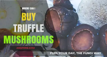 Discover the Best Places to Buy Fresh Truffle Mushrooms Online