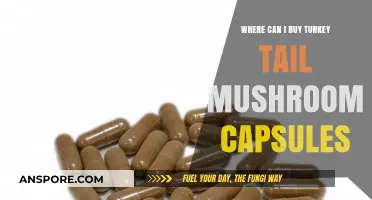 Discover Top Retailers to Buy Turkey Tail Mushroom Capsules