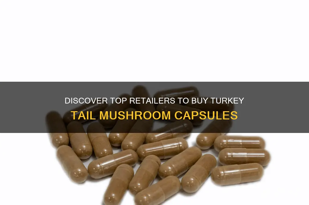 where can i buy turkey tail mushroom capsules