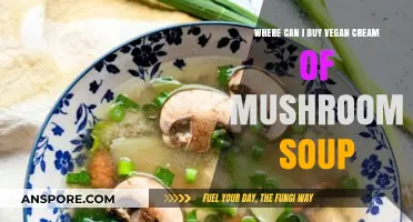 Discover Top Stores for Vegan Cream of Mushroom Soup