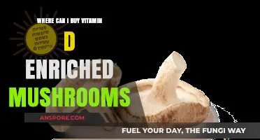 Where to Buy Vitamin D Enriched Mushrooms: Top Sources and Tips