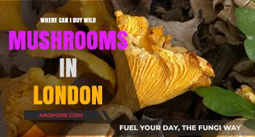 Discover London's Best Spots to Buy Fresh Wild Mushrooms