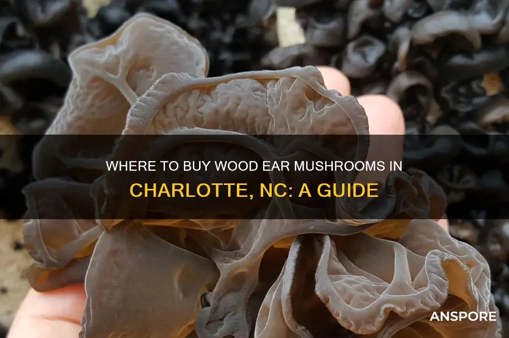 where can i buy wood ear mushrooms charlotte nc