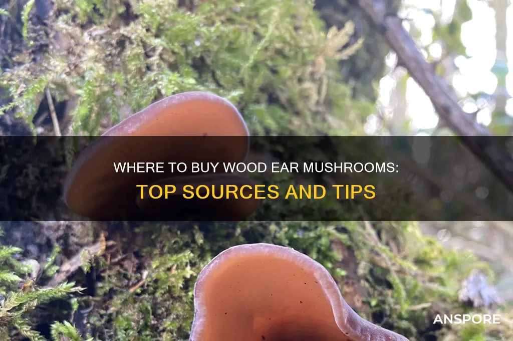 where can i buy wood ear mushrooms