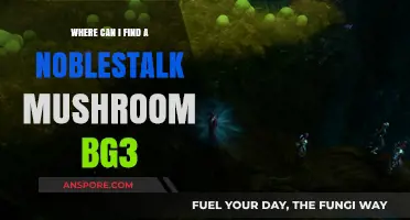 Discover the Noblestalk Mushroom in Baldur's Gate 3: Top Locations