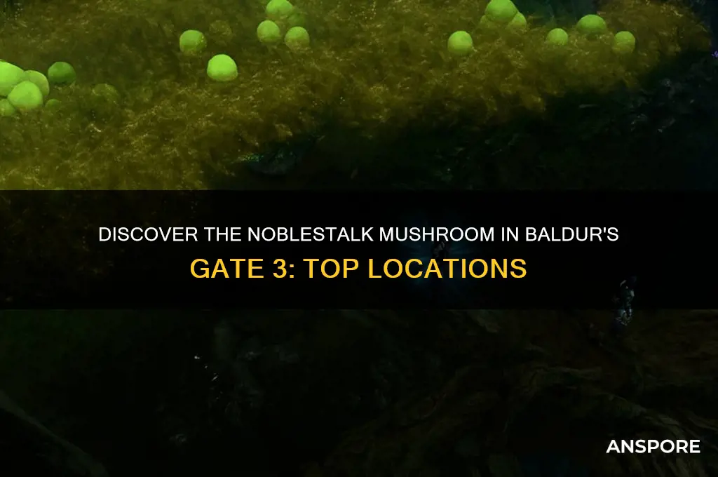 where can i find a noblestalk mushroom bg3