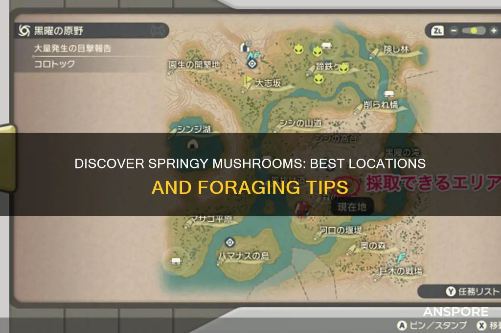 where can i find a springy mushroom