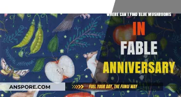 Discovering Blue Mushrooms in Fable Anniversary: Locations and Tips