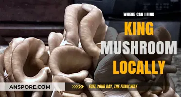 Discover Local Sources for Fresh King Mushrooms Near You