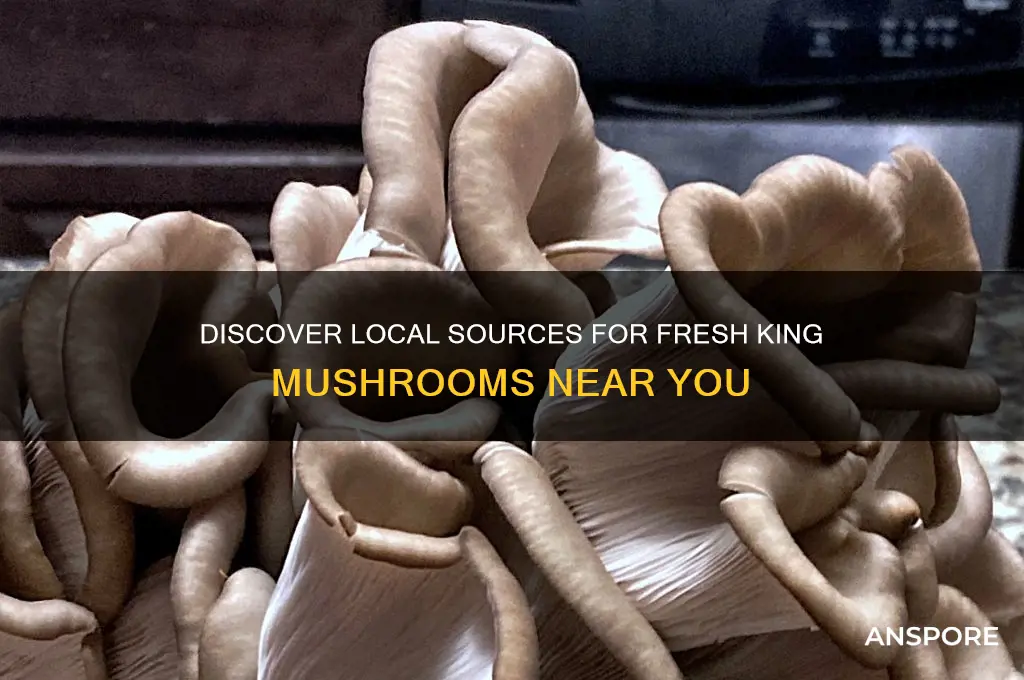 where can i find king mushrooms locally