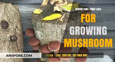 Discovering Ideal Logs for Mushroom Cultivation: A Comprehensive Guide