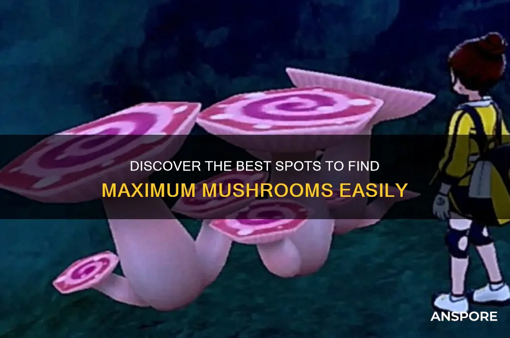 where can i find max mushrooms