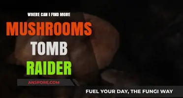 Discover Hidden Mushroom Locations in Tomb Raider: A Comprehensive Guide
