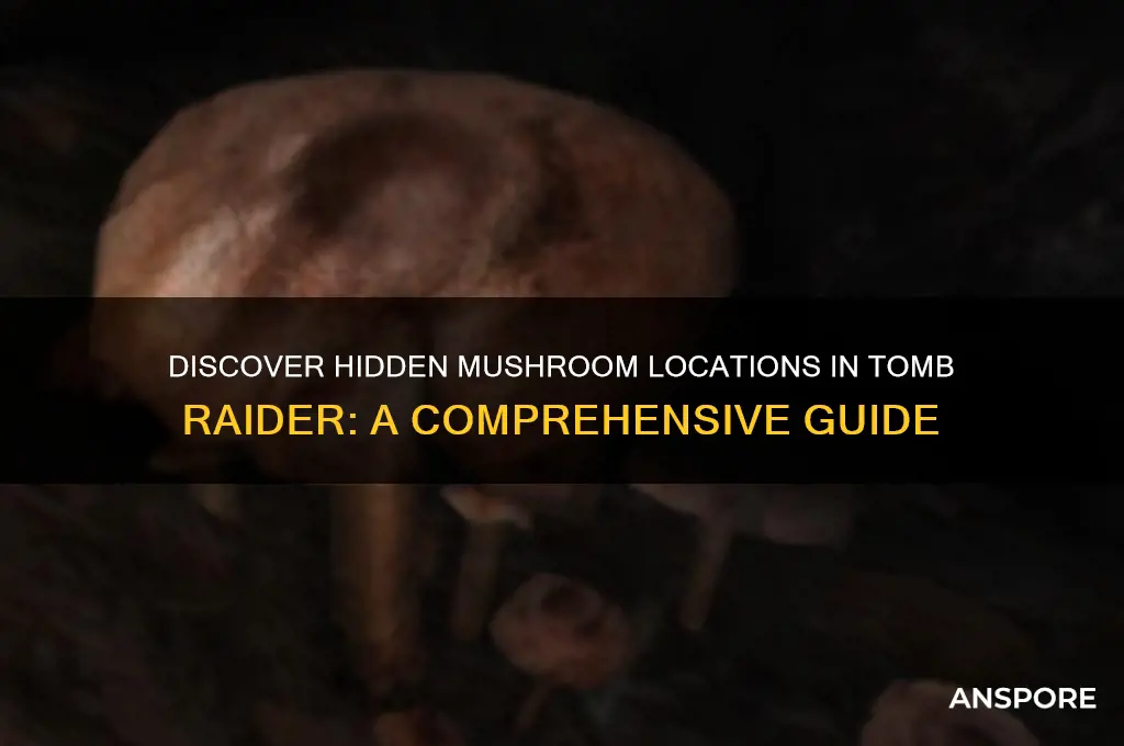 where can i find more mushrooms tomb raider