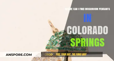 Discover Unique Mushroom Pendants in Colorado Springs: Top Local Shops