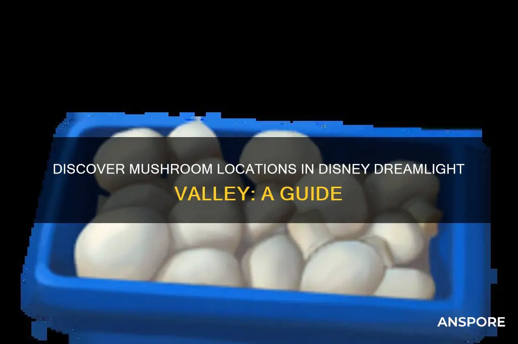 where can i find mushrooms in disney dreamlight valley