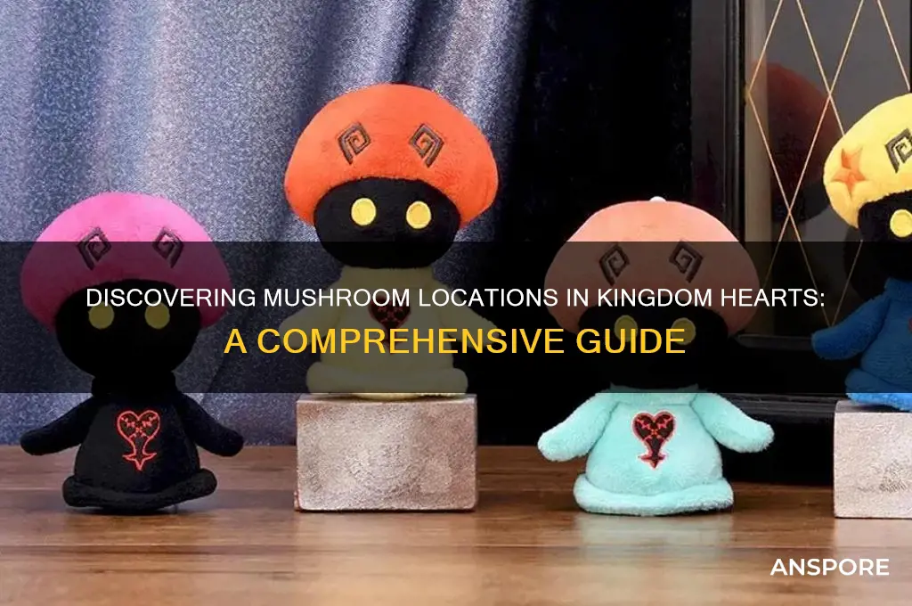 where can i find mushrooms in kingdom hearts