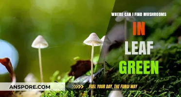 Discovering Mushrooms in Leaf Green: Top Locations and Tips
