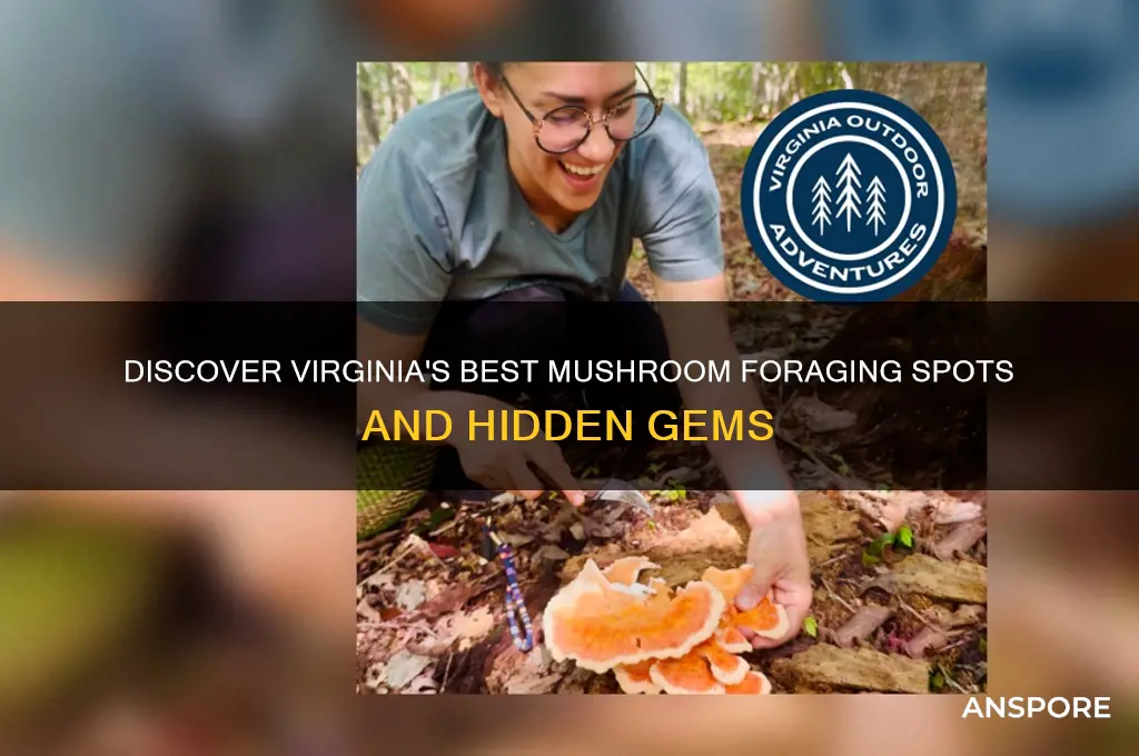 where can i find mushrooms in virginia
