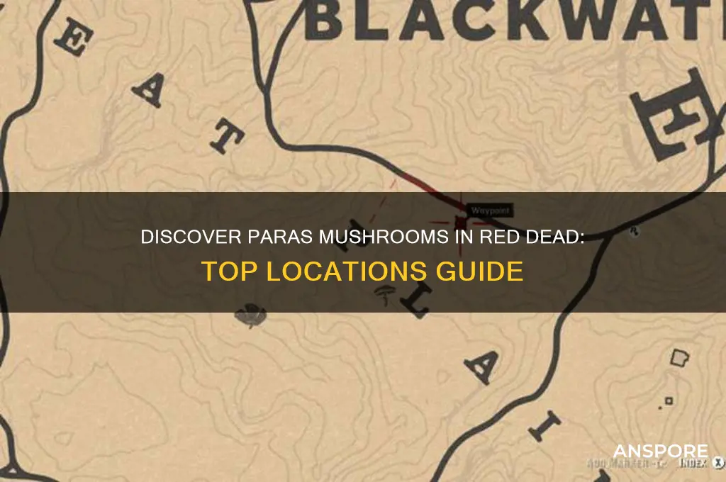 where can i find paras mushrooms on red deaf
