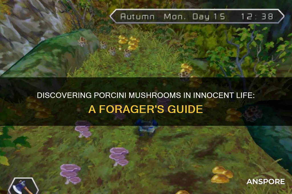 where can i find porcini mushrooms in innocent life