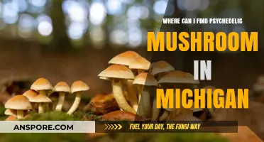 Exploring Michigan's Forests: Locating Psychedelic Mushrooms Safely and Legally