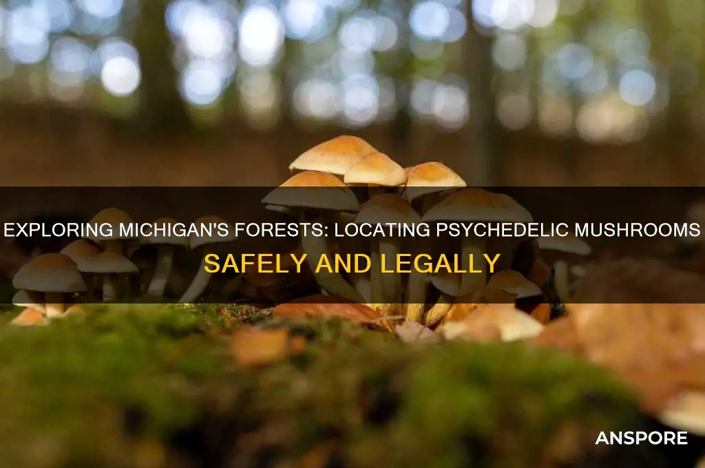 where can i find psychedelic mushrooms in michigan