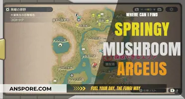 Discover Springy Mushroom Arceus Locations: A Comprehensive Guide for Trainers